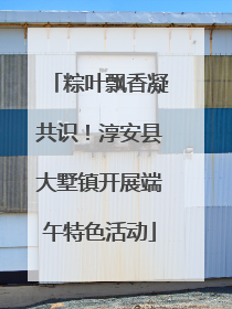 粽叶飘香凝共识！淳安县大墅镇开展端午特色活动