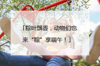 粽叶飘香，动物们也来“粽”享端午！