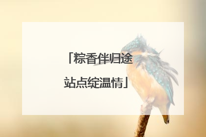 粽香伴归途 站点绽温情