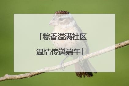 粽香溢满社区 温情传递端午