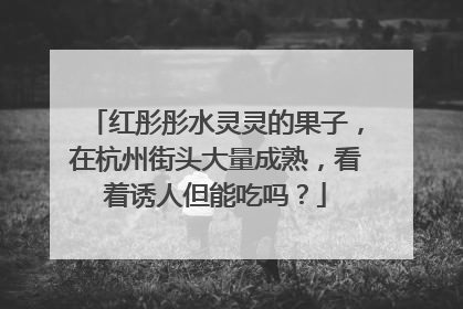 红彤彤水灵灵的果子，在杭州街头大量成熟，看着诱人但能吃吗？
