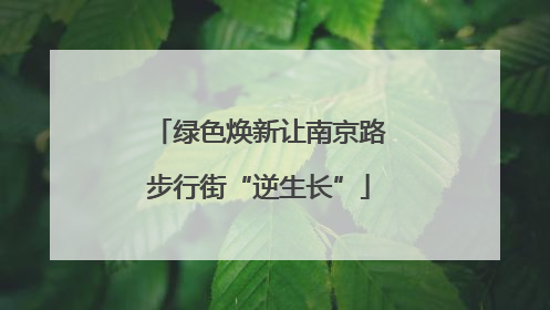绿色焕新让南京路步行街“逆生长”