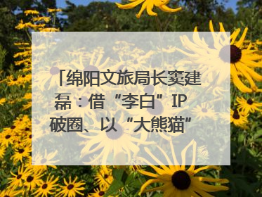 绵阳文旅局长窦建磊：借“李白”IP破圈、以“大熊猫”引流 依托科技优势绽放城市文旅魅力｜文旅局长说