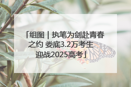 组图｜执笔为剑赴青春之约 娄底3.2万考生迎战2025高考