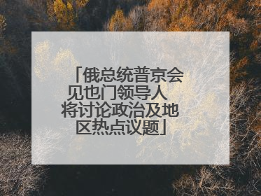 俄总统普京会见也门领导人 将讨论政治及地区热点议题