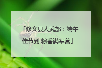修文县人武部：端午佳节到 粽香满军营