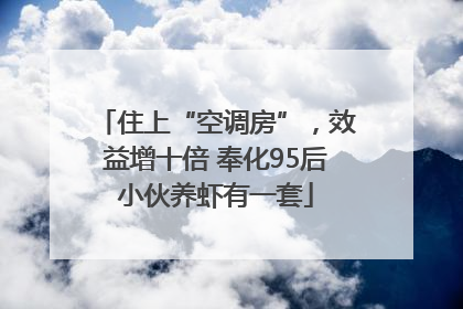 住上“空调房”，效益增十倍 奉化95后小伙养虾有一套