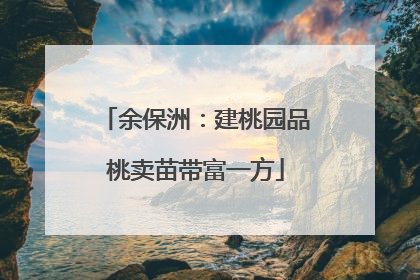 余保洲：建桃园品桃卖苗带富一方