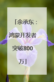 余承东：鸿蒙开发者突破800万