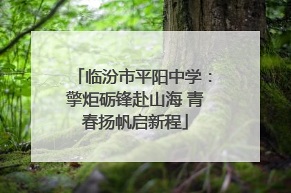 临汾市平阳中学：擎炬砺锋赴山海 青春扬帆启新程