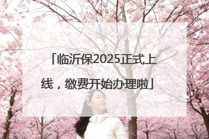 临沂保2025正式上线，缴费开始办理啦
