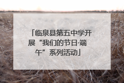 临泉县第五中学开展“我们的节日·端午”系列活动