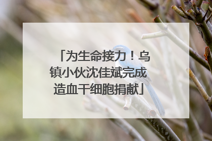为生命接力！乌镇小伙沈佳斌完成造血干细胞捐献