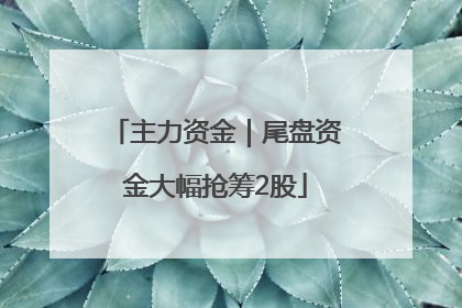 主力资金｜尾盘资金大幅抢筹2股