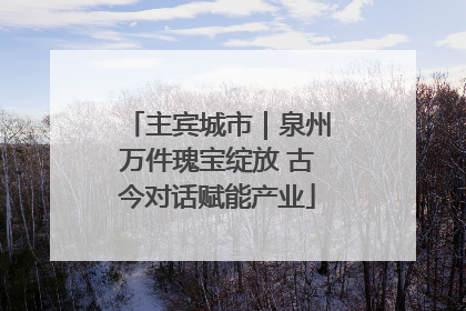 主宾城市｜泉州万件瑰宝绽放 古今对话赋能产业