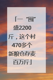一“囤”盛2200斤，这个村470多个新粮仓存麦百万斤