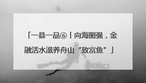 一县一品⑥丨向海图强，金融活水滋养舟山“致富鱼”