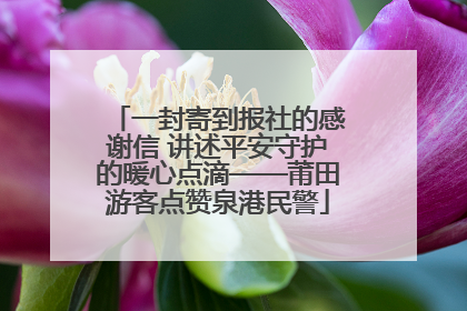 一封寄到报社的感谢信 讲述平安守护的暖心点滴——莆田游客点赞泉港民警