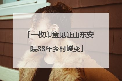 一枚印章见证山东安陵88年乡村蝶变