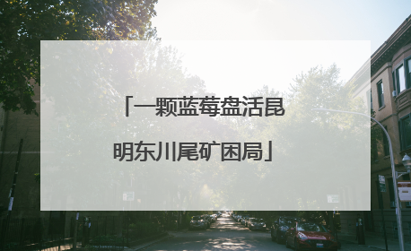 一颗蓝莓盘活昆明东川尾矿困局
