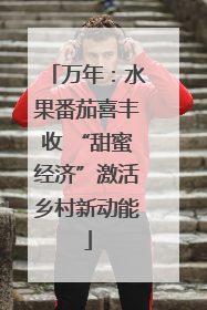 万年：水果番茄喜丰收 “甜蜜经济”激活乡村新动能