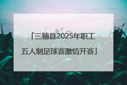 三穗县2025年职工五人制足球赛激情开赛