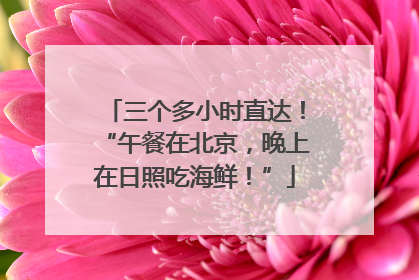 三个多小时直达！“午餐在北京，晚上在日照吃海鲜！”