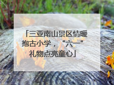 三亚南山景区情暖抱古小学，“六一”礼物点亮童心