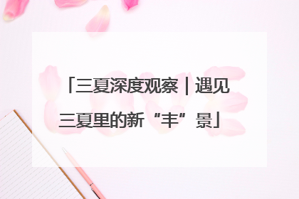 三夏深度观察｜遇见三夏里的新“丰”景