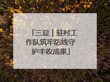 三夏｜驻村工作队筑牢防线守护丰收成果