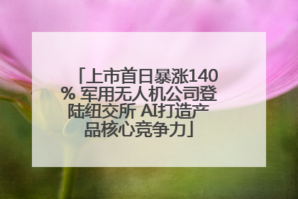 上市首日暴涨140% 军用无人机公司登陆纽交所 AI打造产品核心竞争力