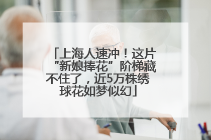 上海人速冲！这片“新娘捧花”阶梯藏不住了，近5万株绣球花如梦似幻