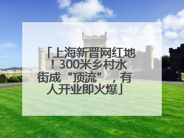 上海新晋网红地！300米乡村水街成“顶流”，有人开业即火爆