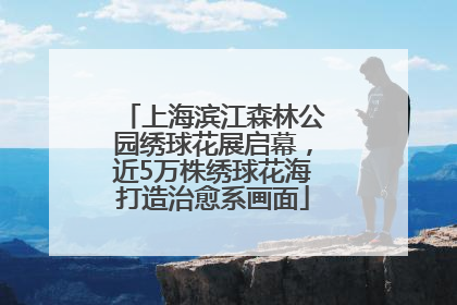 上海滨江森林公园绣球花展启幕，近5万株绣球花海打造治愈系画面