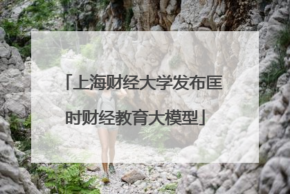 上海财经大学发布匡时财经教育大模型