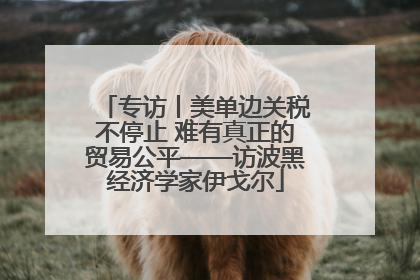 专访丨美单边关税不停止 难有真正的贸易公平——访波黑经济学家伊戈尔