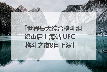 世界最大综合格斗组织重启上海站 UFC格斗之夜8月上演