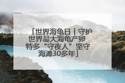 世界海龟日丨守护世界最大海龟产卵 特多“守夜人”坚守海滩30多年