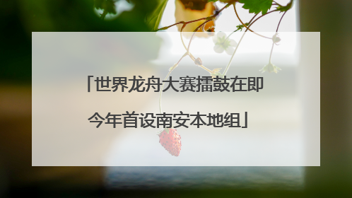 世界龙舟大赛擂鼓在即 今年首设南安本地组