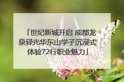 世纪新城开启 成都龙泉驿光华东山学子沉浸式体验72行职业魅力