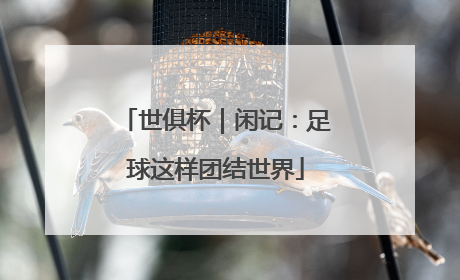 世俱杯｜闲记：足球这样团结世界