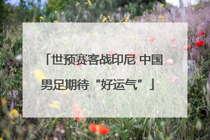 世预赛客战印尼 中国男足期待“好运气”