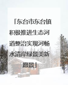 东台市东台镇积极推进生态河道整治实现河畅水清岸绿景美新愿景