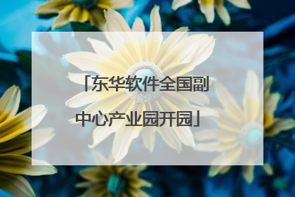 东华软件全国副中心产业园开园