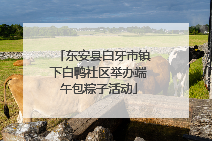 东安县白牙市镇下白鸭社区举办端午包粽子活动
