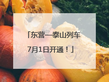 东营—泰山列车7月1日开通！