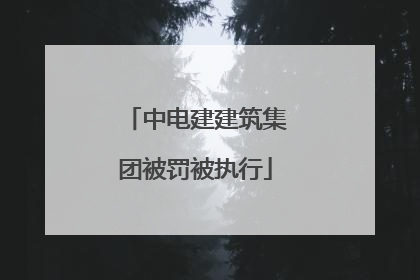 中电建建筑集团被罚被执行