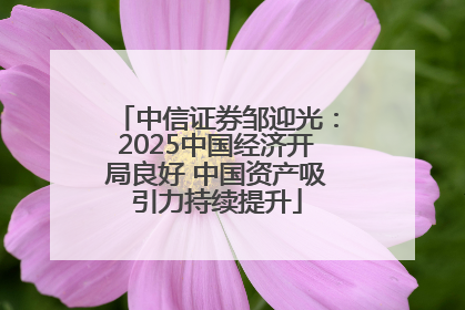 中信证券邹迎光：2025中国经济开局良好 中国资产吸引力持续提升