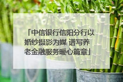 中信银行信阳分行以婚纱摄影为媒 谱写养老金融服务暖心篇章