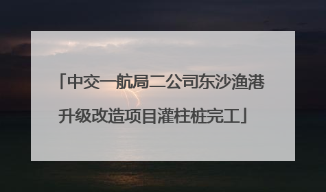 中交一航局二公司东沙渔港升级改造项目灌柱桩完工